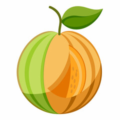 vector illustration of a orange fruit