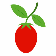 tomato vector illustration