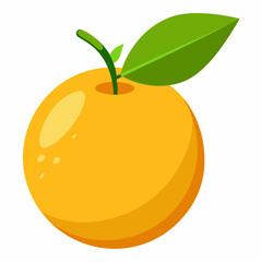 vector illustration of an orange