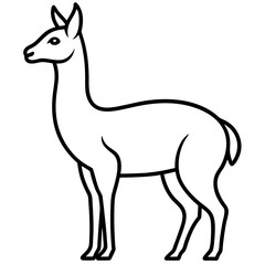 Minimalist Vicuna One-Line Art
