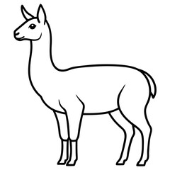 Minimalist Vicuna One-Line Art