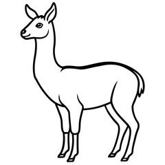 Minimalist Vicuna One-Line Art