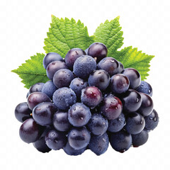 realistic fresh grapes bunch in different types with leaves isolated on transparent background