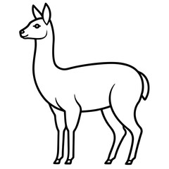Fototapeta premium Minimalist Vicuna One-Line Art