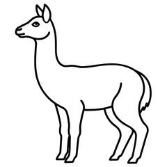 Minimalist Vicuna One-Line Art