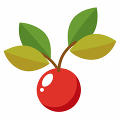vector illustration of ripe cherry