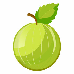 vector illustration of an apple