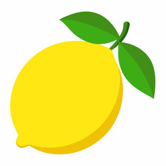 lemon vector illustration