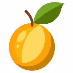 vector illustration of an orange