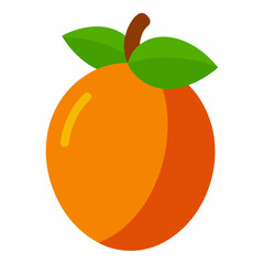 vector illustration of an orange