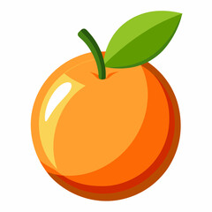 orange fruit vector illustration