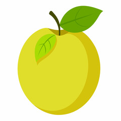 vector illustration of an apple