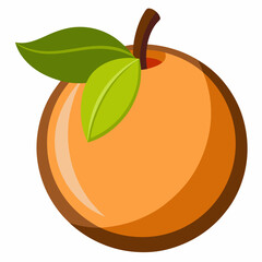 vector illustration of an apple