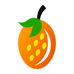 vector illustration of an orange