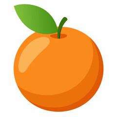 orange fruit vector illustration