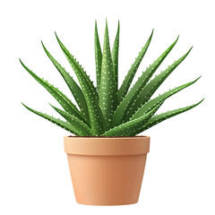 Fototapeta premium A 2D front view of a potted green aloe vera plant, ceramic pot, detailed leaves, isolated on white