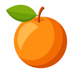 vector illustration of an apple