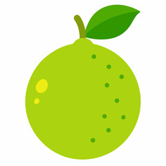 vector illustration of a green apple