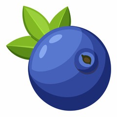 vector illustration of an apple