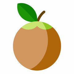 vector illustration of an orange