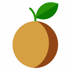 vector illustration of an orange