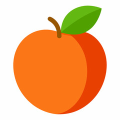 vector illustration of an orange