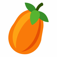 orange fruit vector illustration