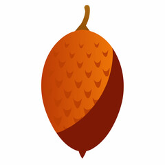 vector illustration of a potato