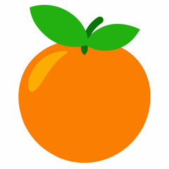 vector illustration of an orange fruit