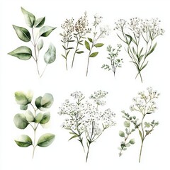 Ideal for design and print applications, emphasizing nature's beauty. 