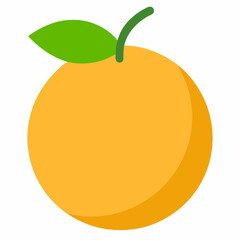 vector illustration of an orange fruit