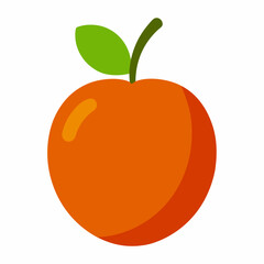 vector illustration of an orange