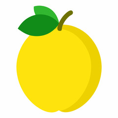 vector illustration of an apple
