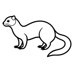 Fototapeta premium Clean & Simple Ferret Outline Illustration
