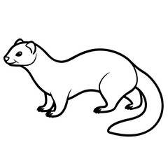 Clean & Simple Ferret Outline Illustration