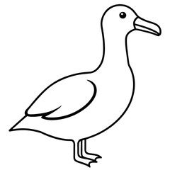 Elegant Albatross Outline Illustration