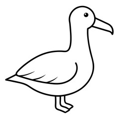 Elegant Albatross Outline Illustration