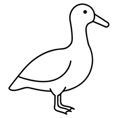 Elegant Albatross Outline Illustration