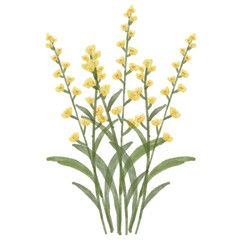 bouquet of yellow minimal flowers