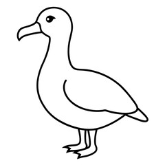 Elegant Albatross Outline Illustration