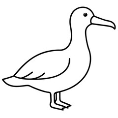 Elegant Albatross Outline Illustration