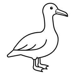 Elegant Albatross Outline Illustration