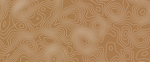 Topographic labyrinth swirling lines on an earthy canvas