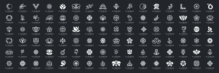 Abstract ornament logo collection. Beauty flower floral logo icon vector. Usable for beauty salon, cosmetics and spa.