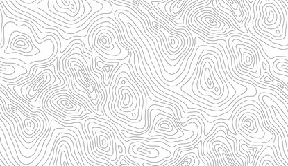 Fototapeta premium Topographic symphony Contour lines dance across a hilly landscape charting elevations silent rhythm