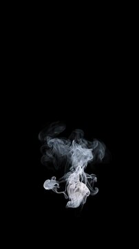 Thin White Wispy Smoke with very Low Density going up Slowly on a Black Background
