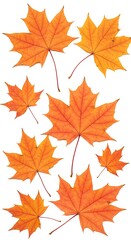 Obraz premium Autumn's Ember Dance AI Generated