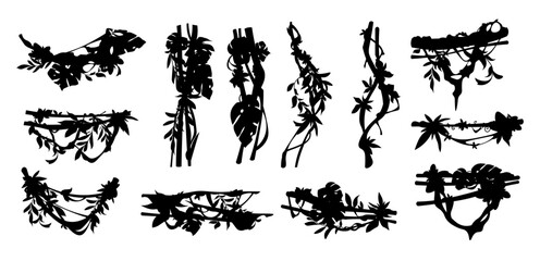 Jungle liana silhouette. Ivy plant border, tropical vine plant decorative frame element, jungle tree creeper branches, rainforest lianas and ivies botany dividers. Vector set © Tartila