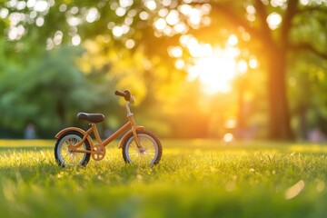 Fototapeta premium bicycle in the park