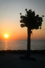 beautiful sunrise at Fulidhoo Island Maldives